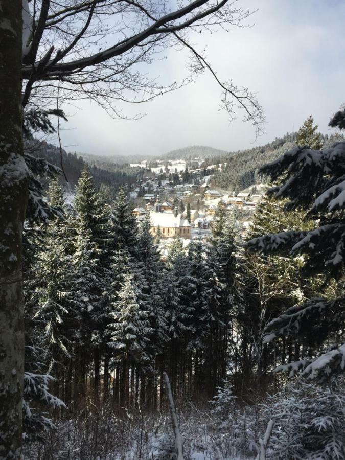 Ferienwohnung Mit Charme I Todtmoos Buitenkant foto